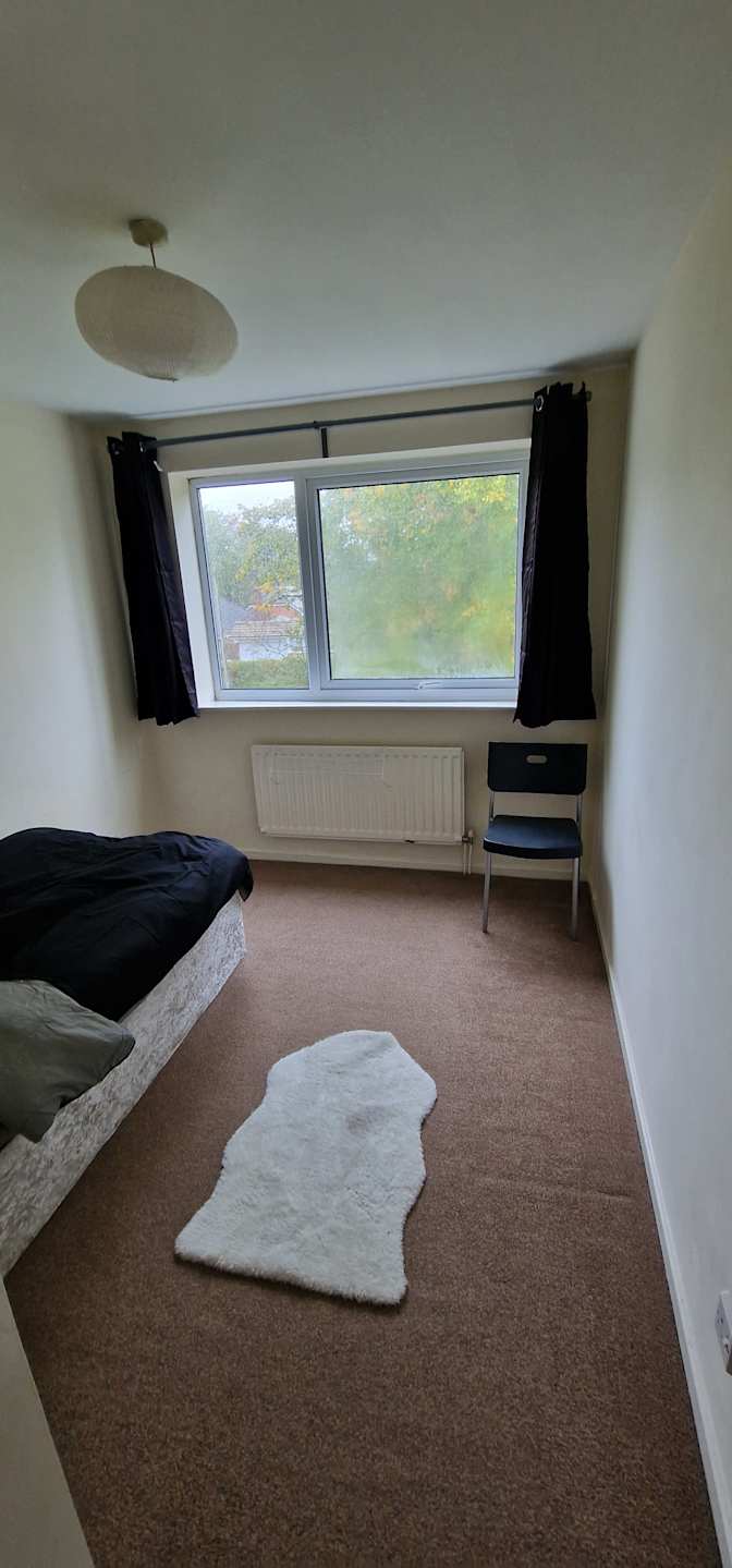 Markus's room