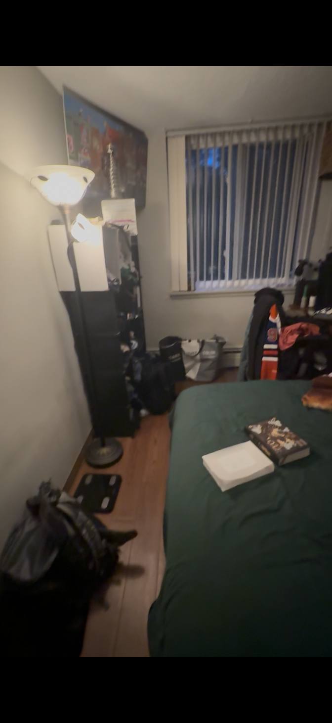 Simba's room