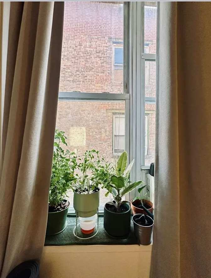 Marie's room