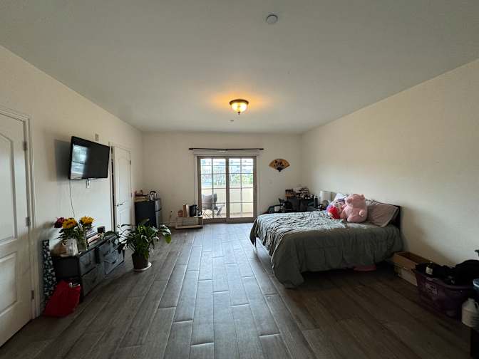 Sule's room