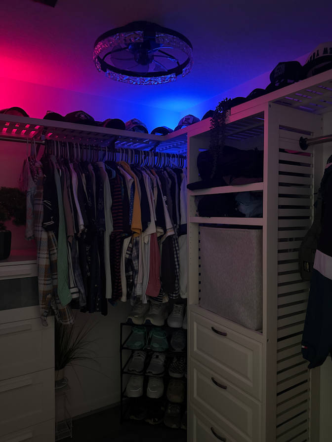 Rodd's room
