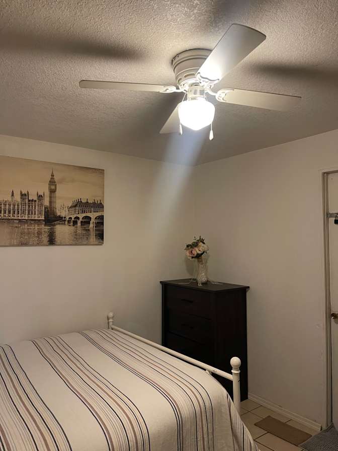 Safaa's room