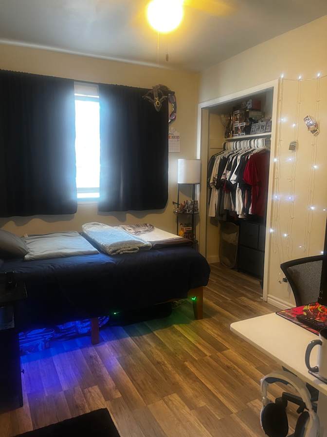 Cat's room