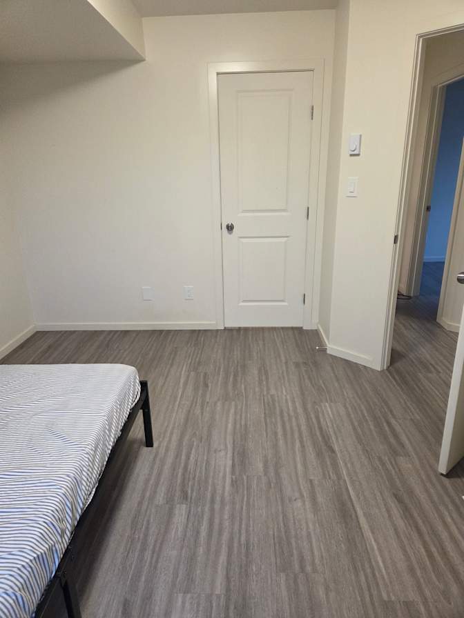Shane's room