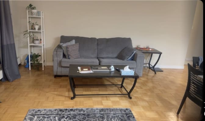 marjan shaker's room