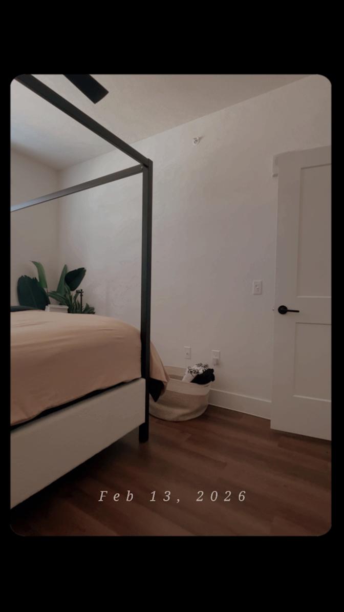 Chanise  Harrison's room