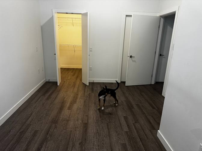 Patrick Russell's room