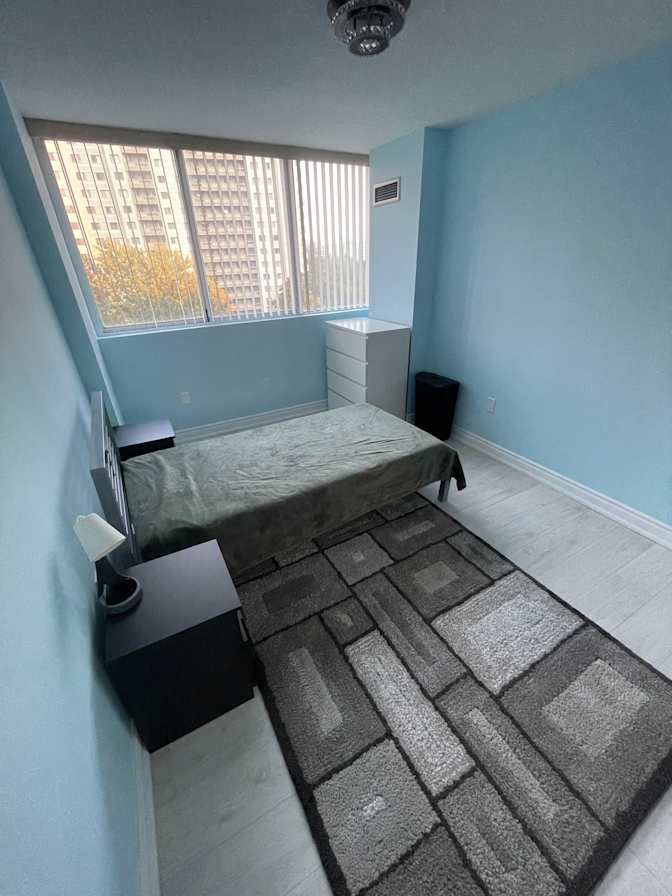 Sezgin's room
