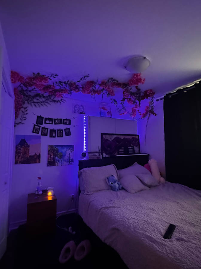 Anastasia's room