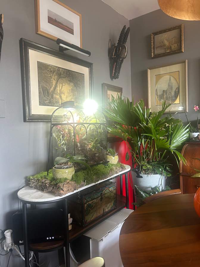 Stuart's room