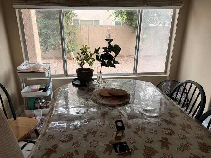 Sohrab's room