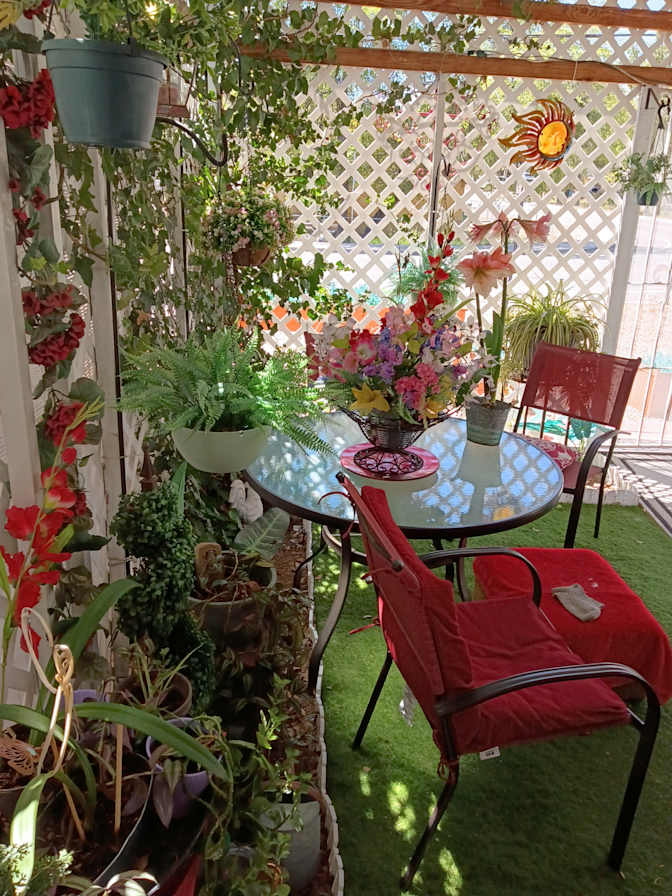 pamela jolley's room