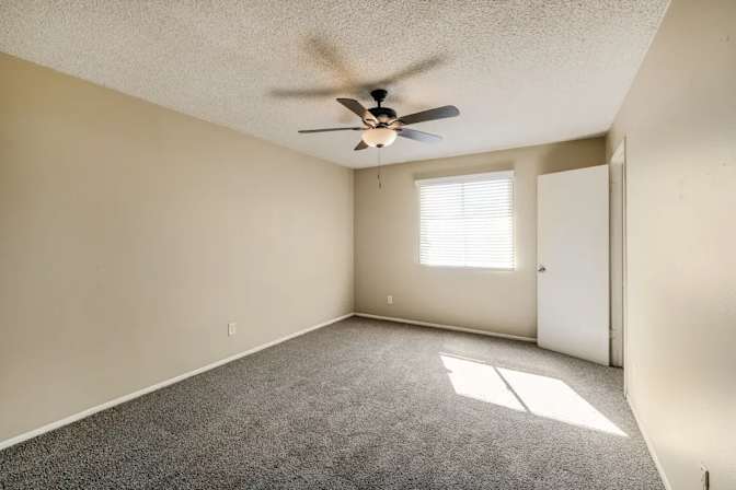 Jeffrey's room