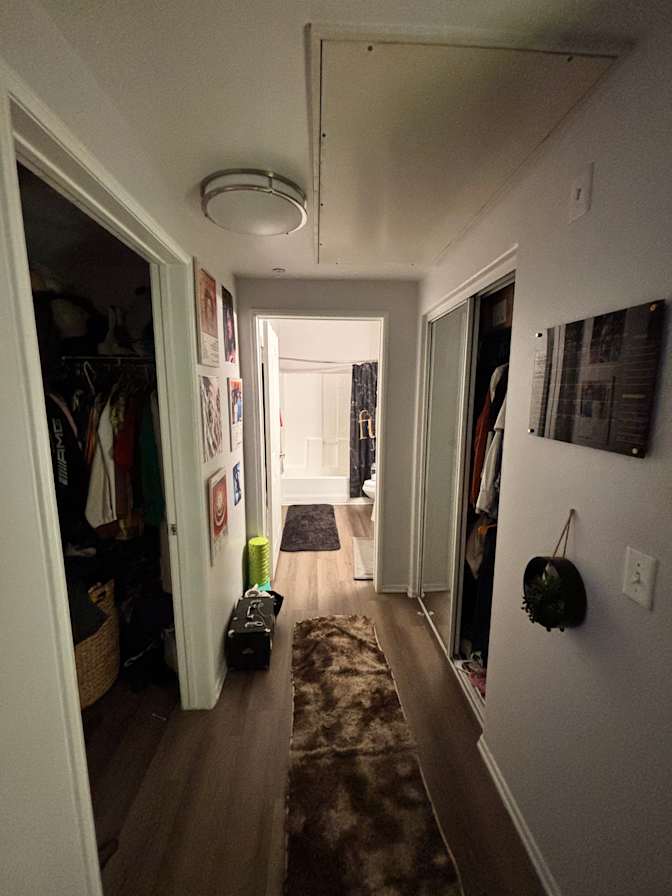 Angeula Manhertz's room
