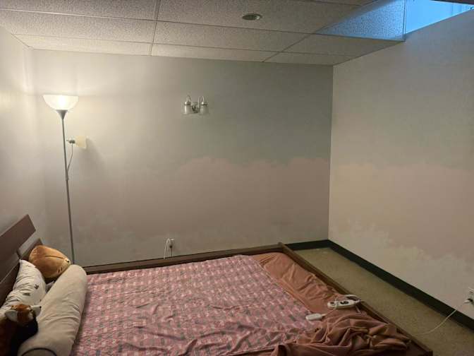Alejandra Parra's room