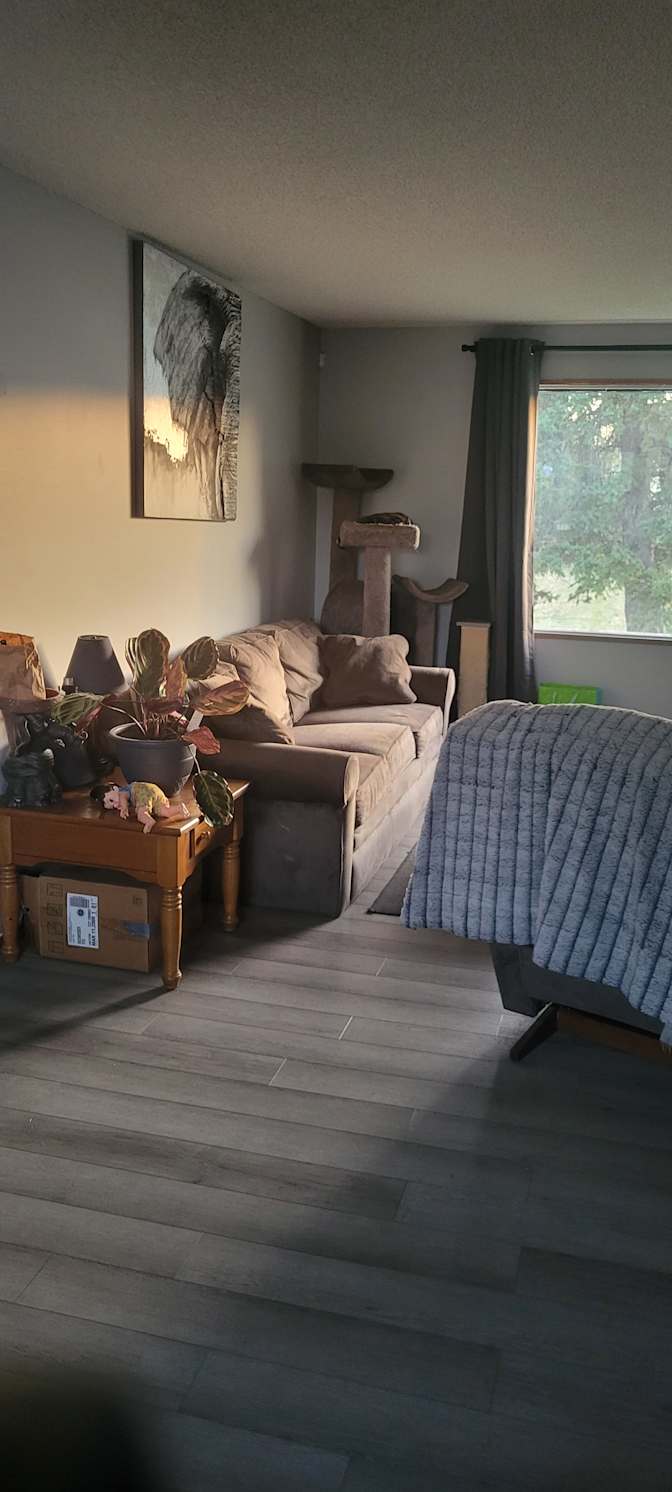 Tara's room