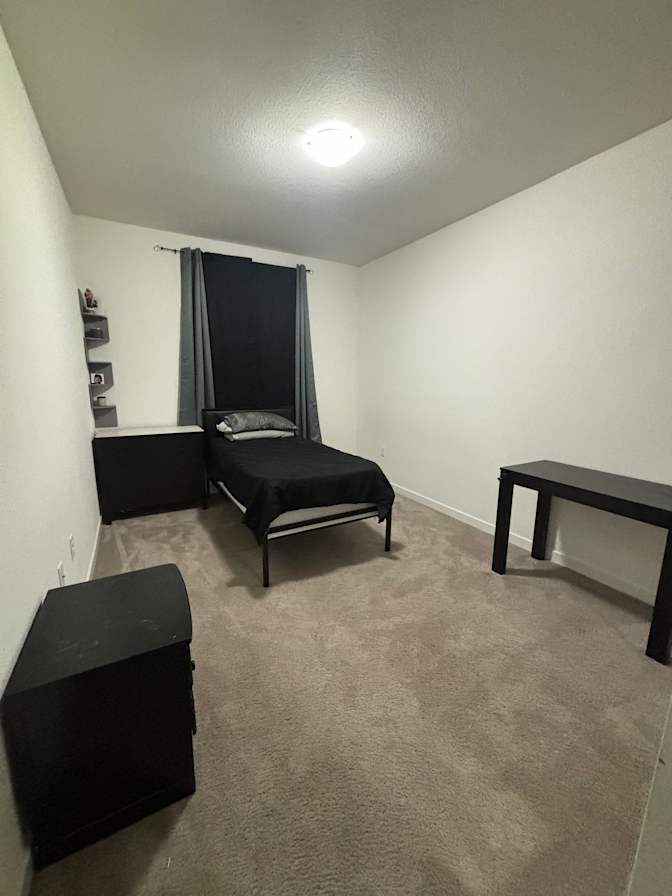 Shaun campos's room