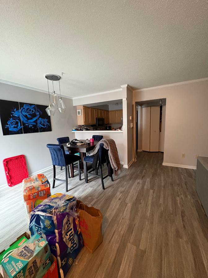 Alexa Livingtone's room