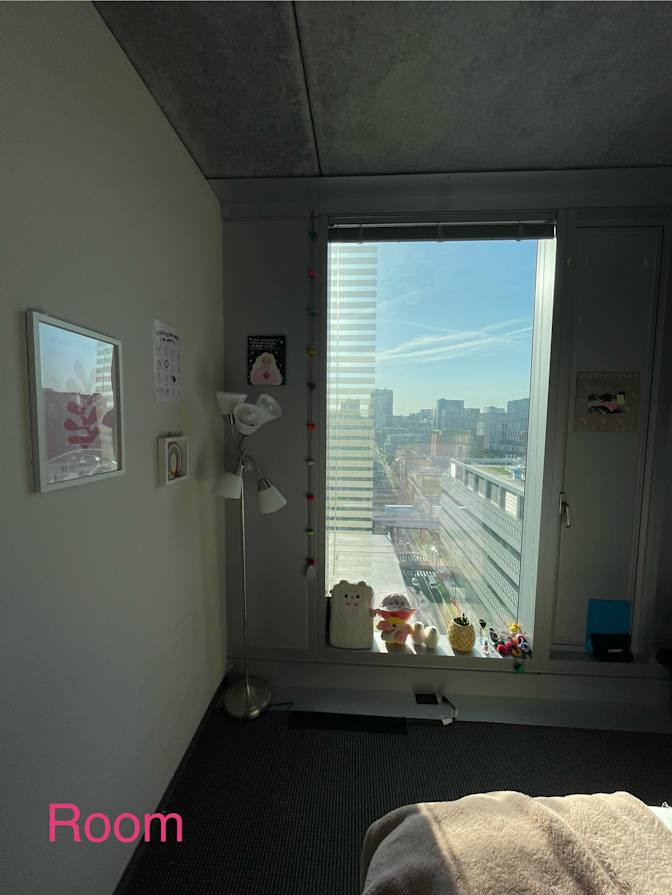 ani's room