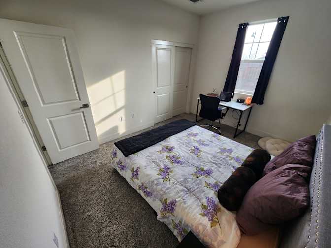 Alexander's room
