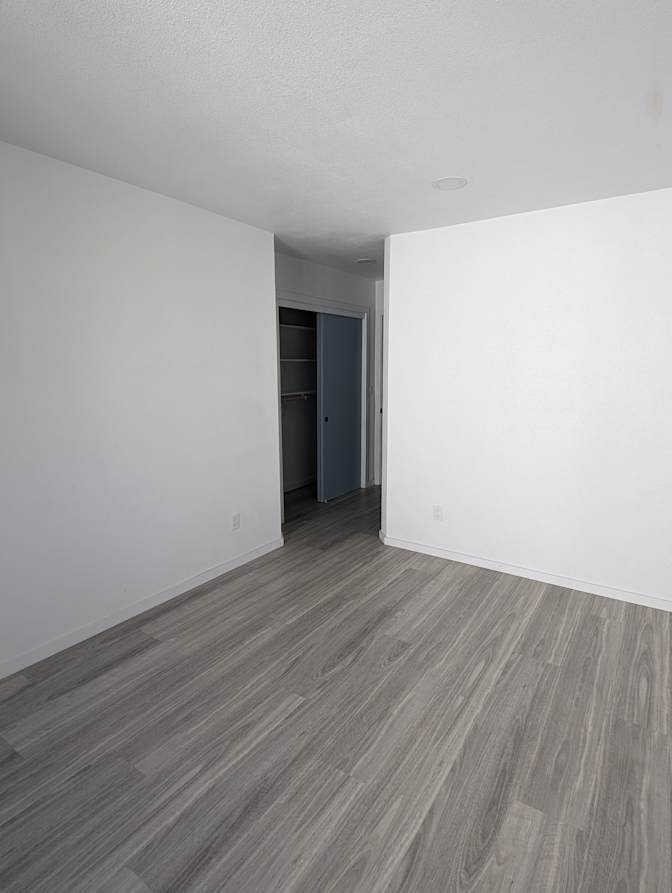 Ellen's room