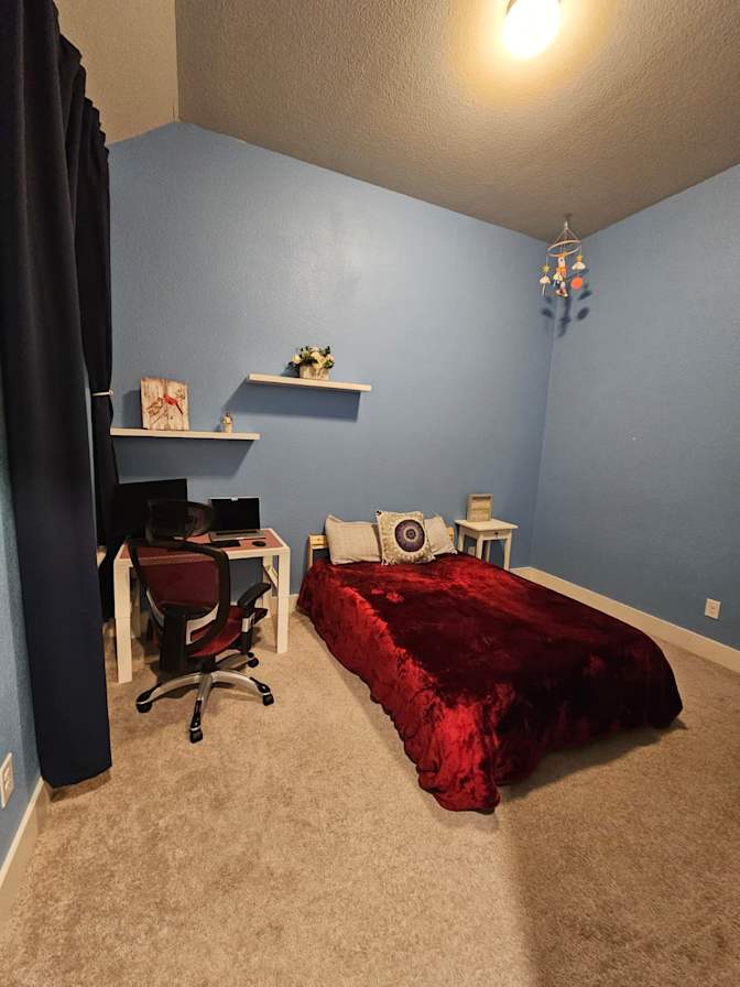 Ludmila's room