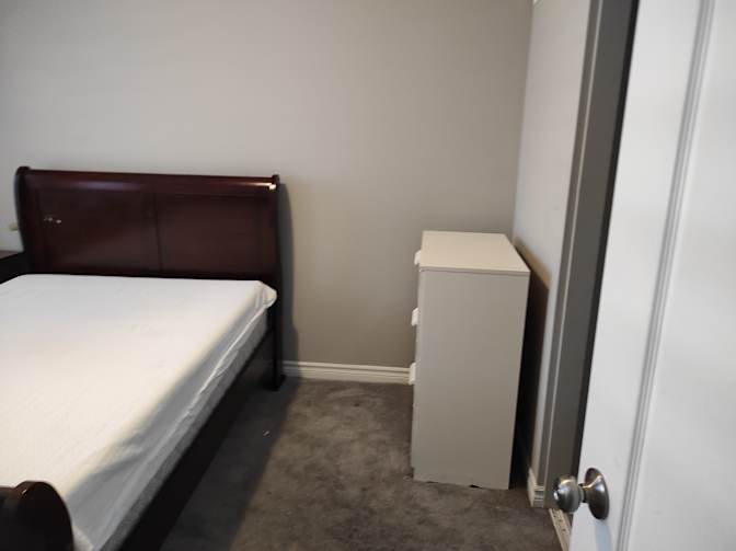 Shama's room
