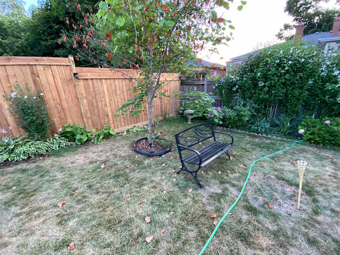 Maureen Segre's room