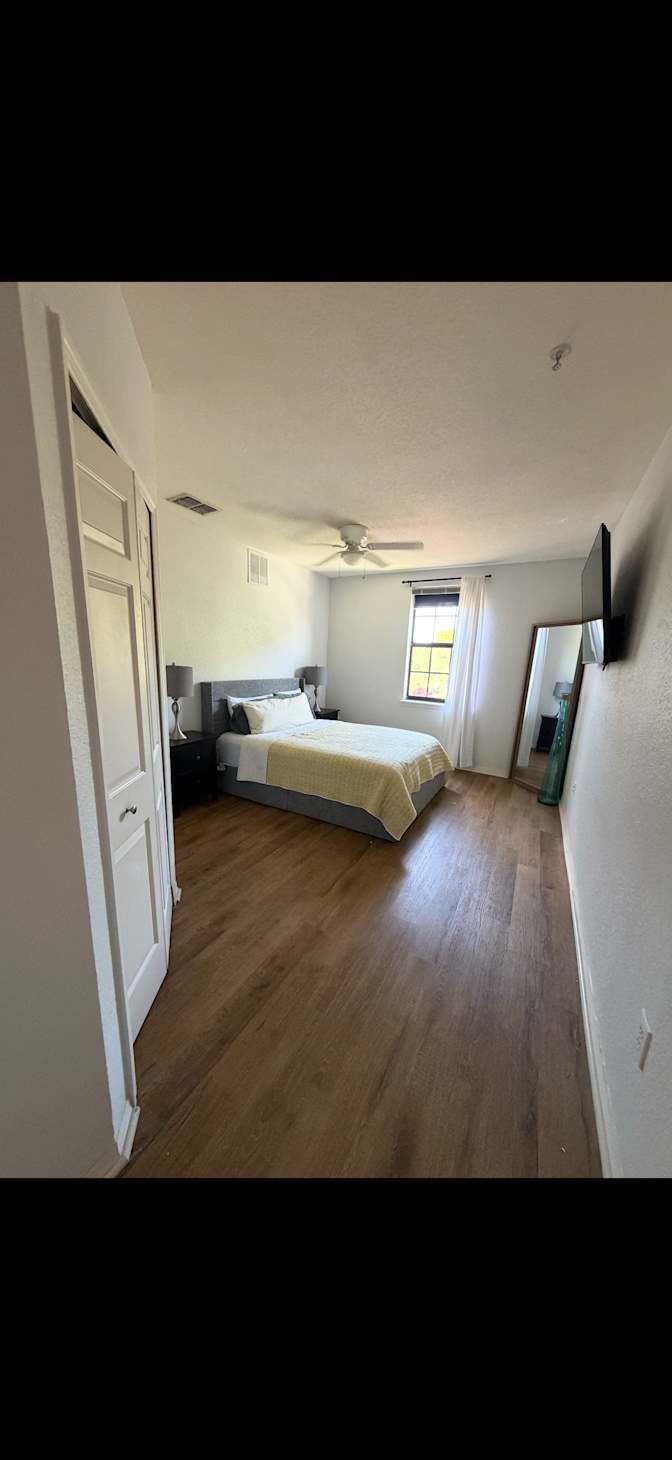 shay's room