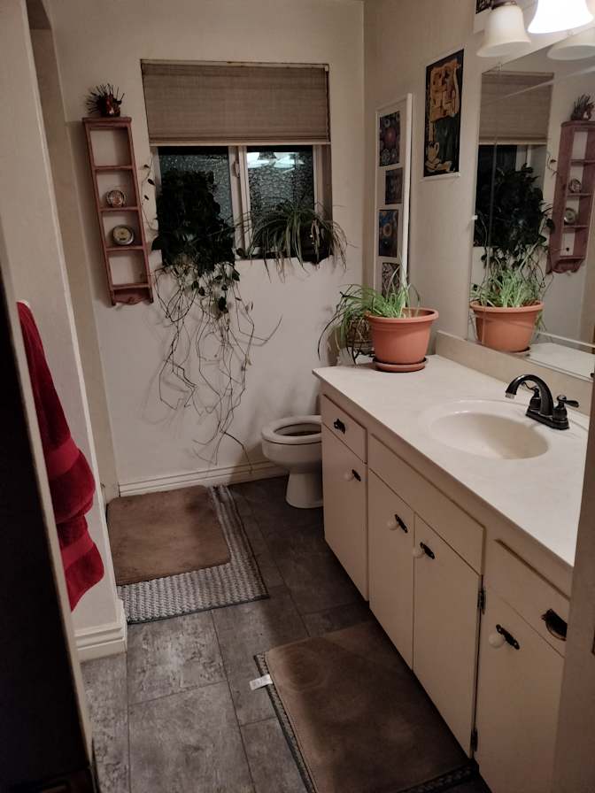 Rachel's room