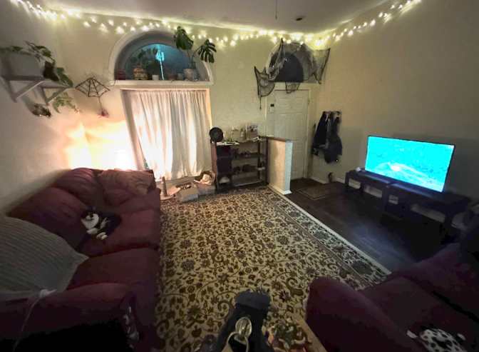 andie's room