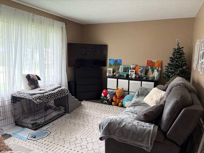 Golden Willow Crescent - Photo 12