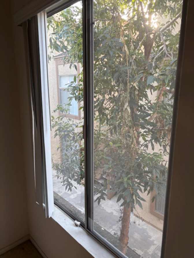 sunny's room