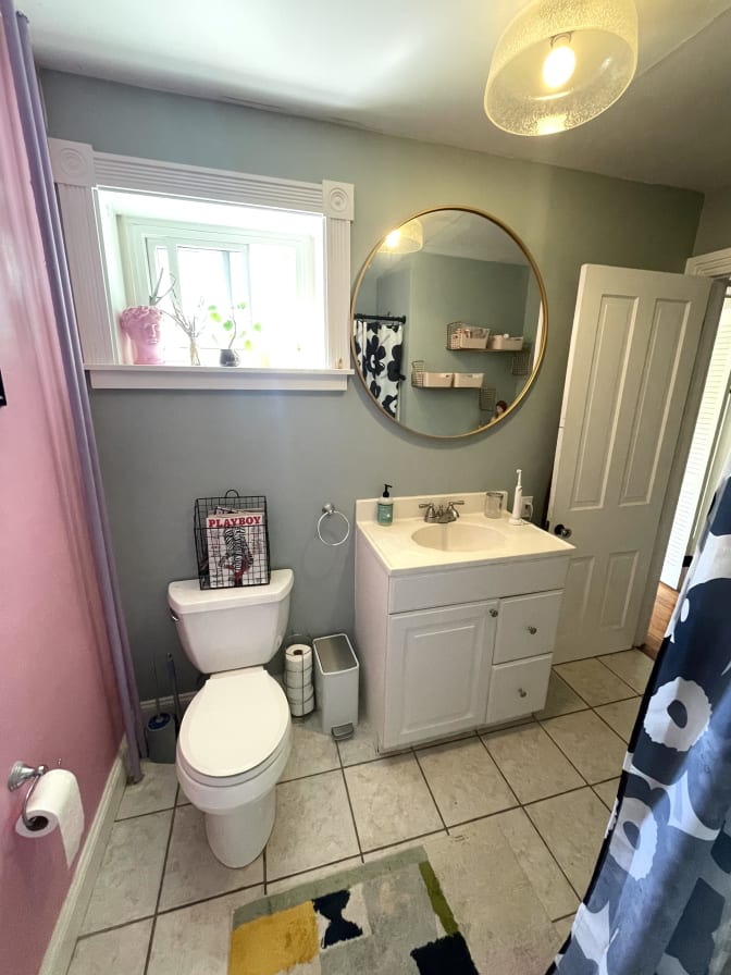 Cat's room
