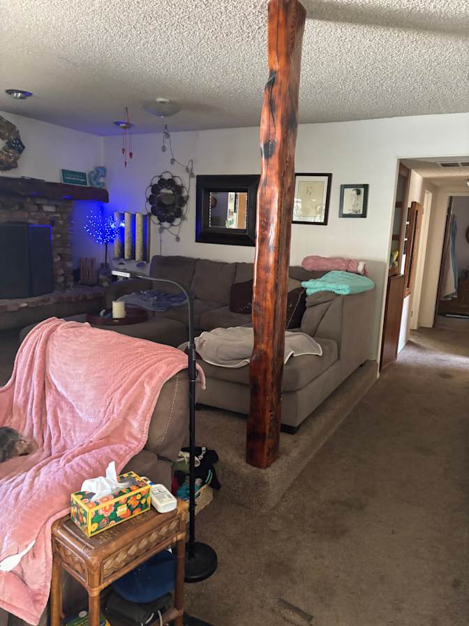 Carol's room