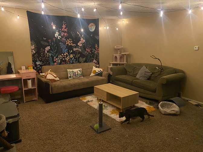 Sage's room