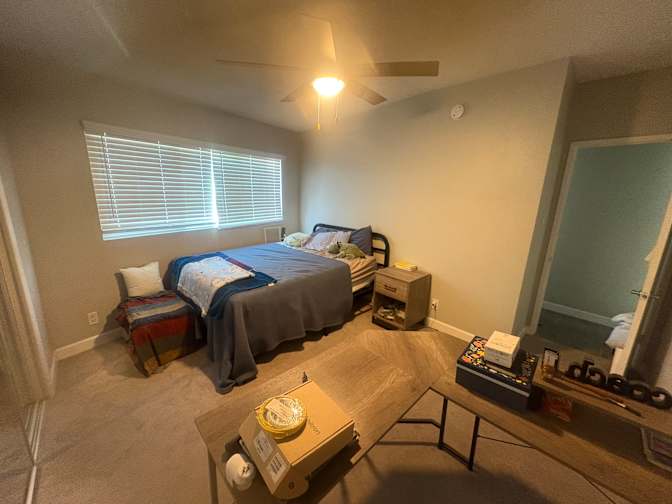 Cameron Friday's room