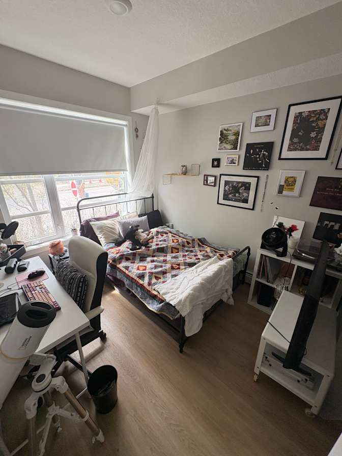 Camryn's room