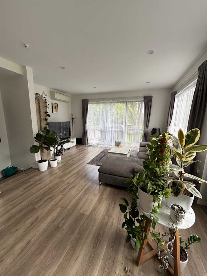 Lou's room