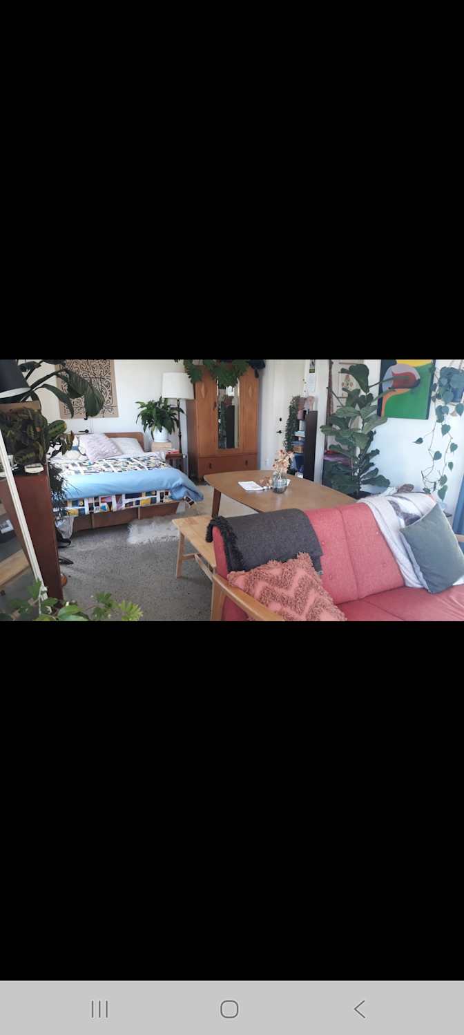 Bruno Cicerone's room
