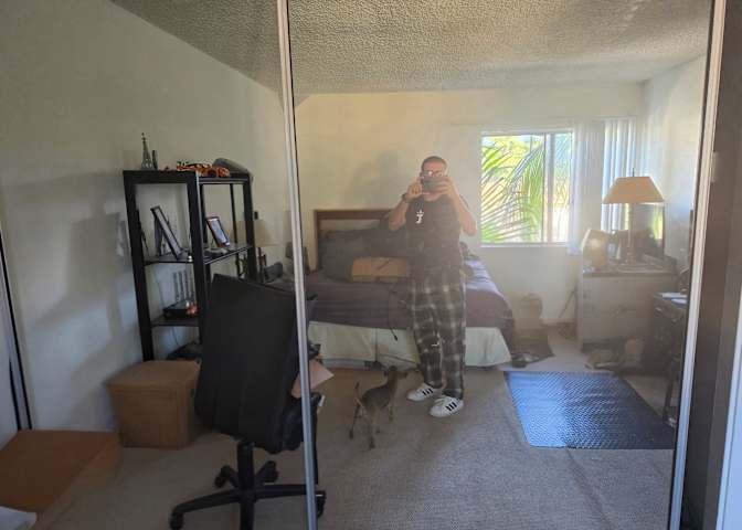 ARTHUR BRANDALIS's room