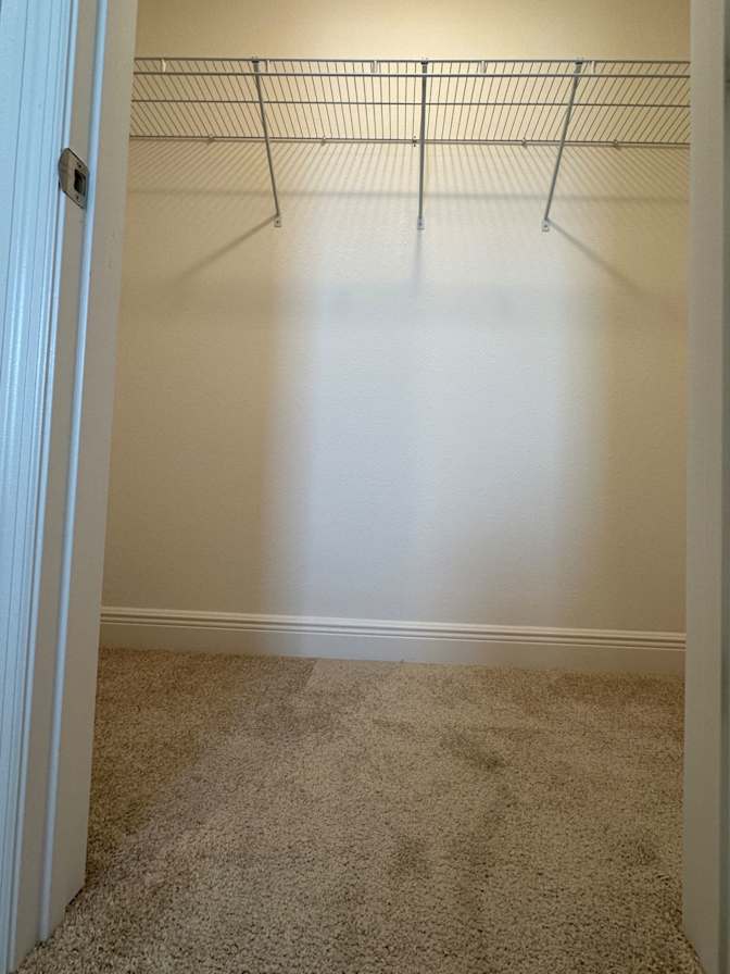 Cathy's room