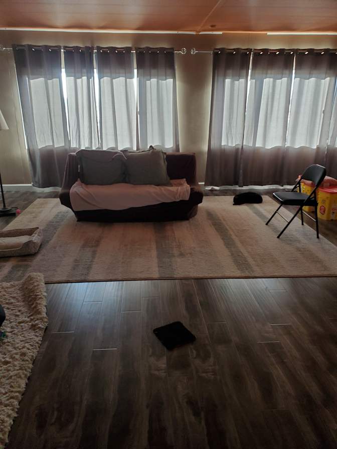 Tasha's room