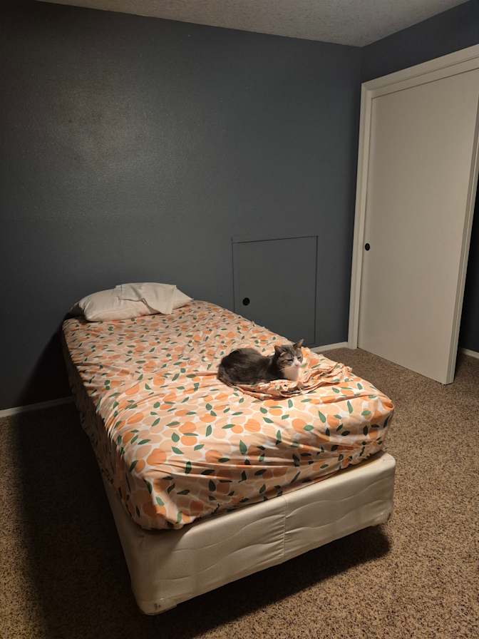 Alicia's room