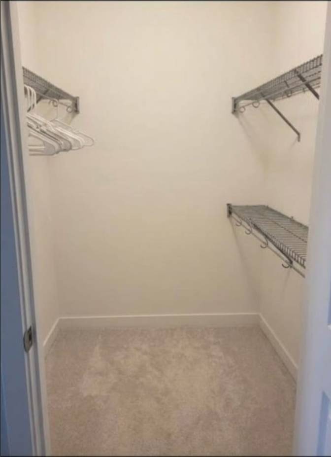 george's room
