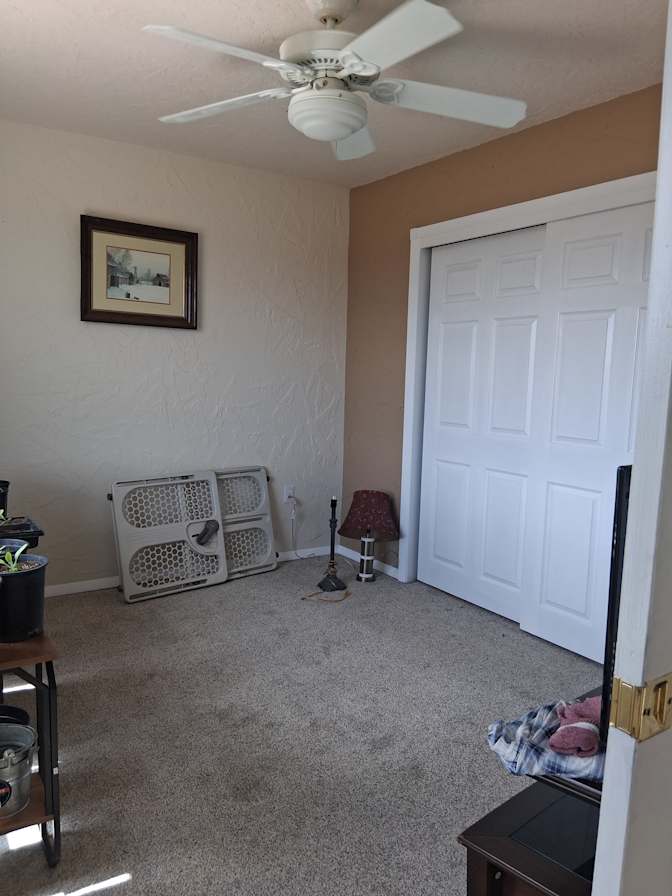 Brandi Arts's room