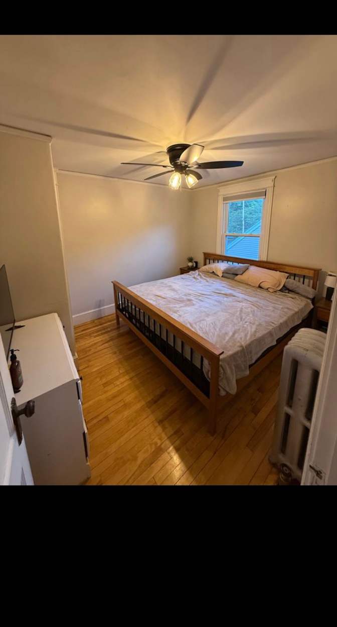 Olivia's room