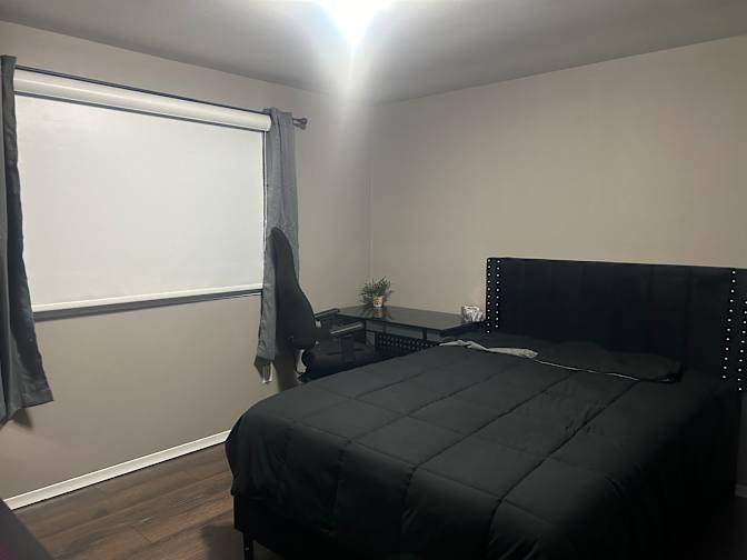 Shelly's room