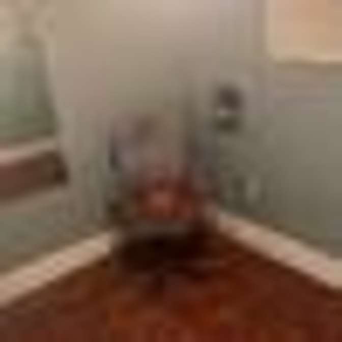 Lenny's room