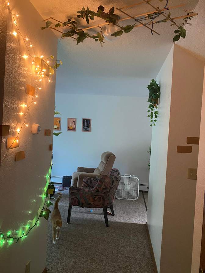 Leo's room